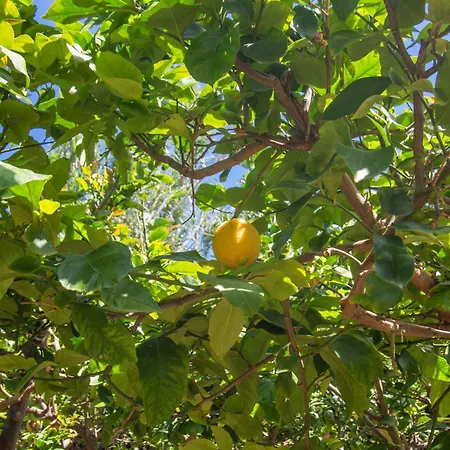 Holiday home Casa Di Arturo Ventotene